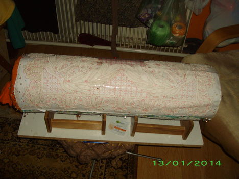 IMGP7920