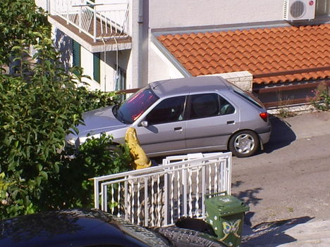 S5039284