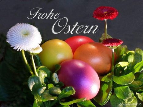 0-ostern-DominoXL-r-k-w
