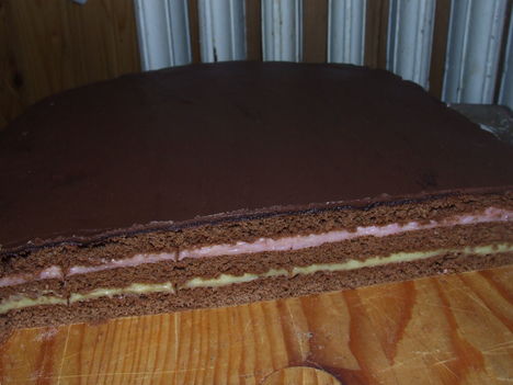 DSCF1649