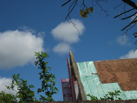 DSCF4520