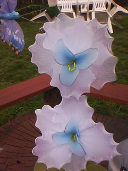 Orchidea (fehér világoskék középpel