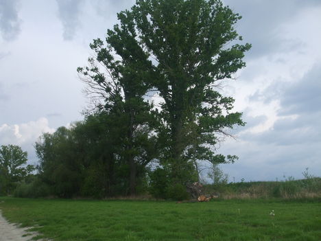 2014.04