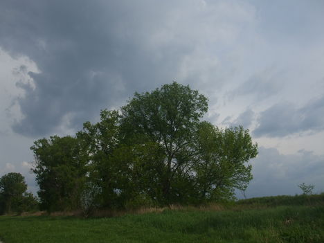 2014.04