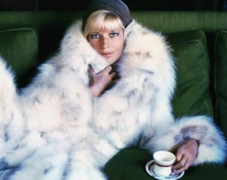 3149432980_2_2_mzKv3ZX0MONICAVITTI