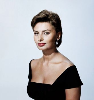3154927544_2_2_l42jGq0t-sofialoren