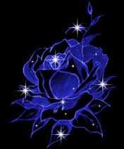 9CCAWFVPCBCAV5VSDKCADA6MEMCAJQUHXVCARY84S5CA4X617FCAWRQ3TBCA8FF950CA7XUZUOCAM4VY0VCAHSXQPLCAW1NV2NCAJ92T0FCA9P1G9TCAWK8Q7OCADZGSIGCA9H921BCAC5F77QCAPGC2EY