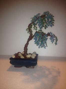 bonsai2