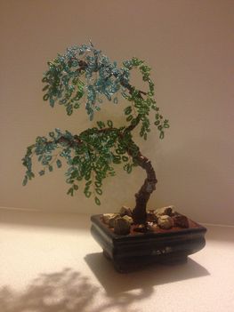 bonsai2d