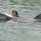 Delfin úsztatás... 4