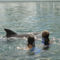 Delfin úsztatás... 5