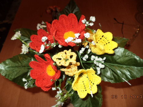 GERBERA