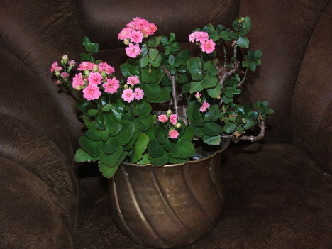 Marci   2011.01.13