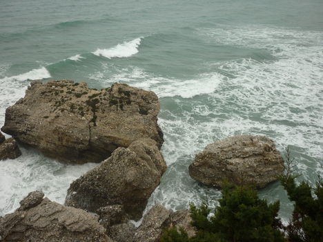 P1020022