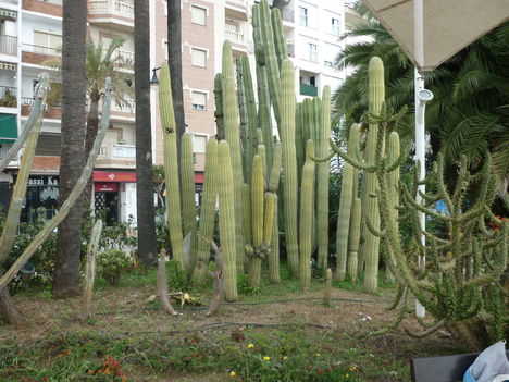 P1020304