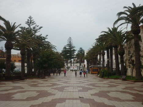 P1020389