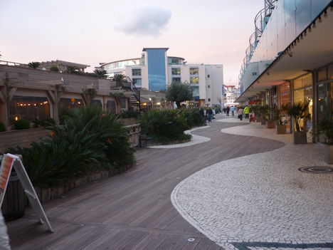 P1020573