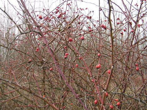 2014 január 10