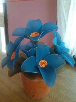 kék virág 031