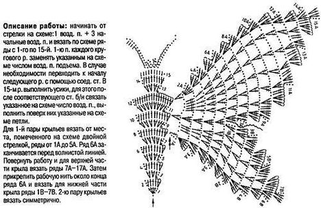 lepke 7.m.