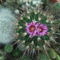 DSCF8703