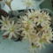 DSCF8704