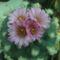 DSCF8749