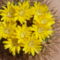 DSCF8754