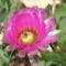 DSCF8762
