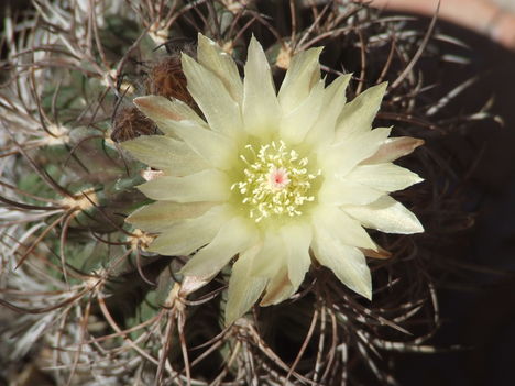 DSCF8765