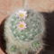 DSCF8820