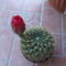 DSCF8834