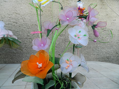DSCN2102