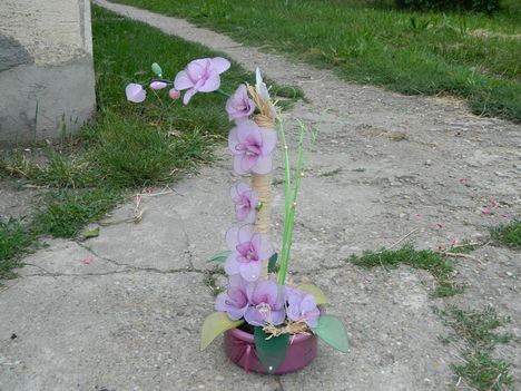 DSCN2105