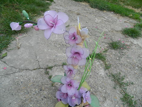 DSCN2106