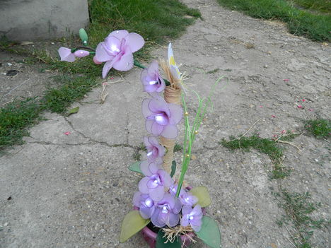 DSCN2107