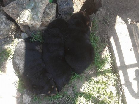 Evés után, hűsölés a többiekkel!!!