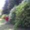 IMAG1029