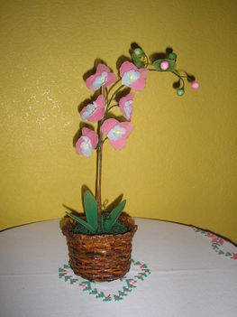 Orchidea saját készitésű kaspóba.