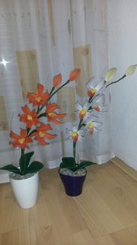 orchideák