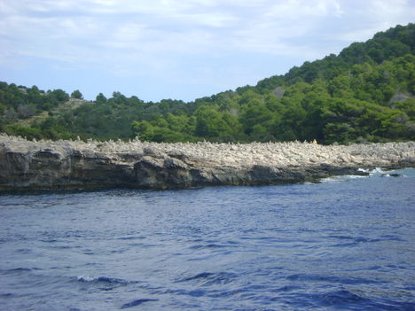 vodice 209 másolata