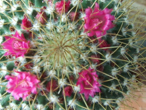 DSCF9430