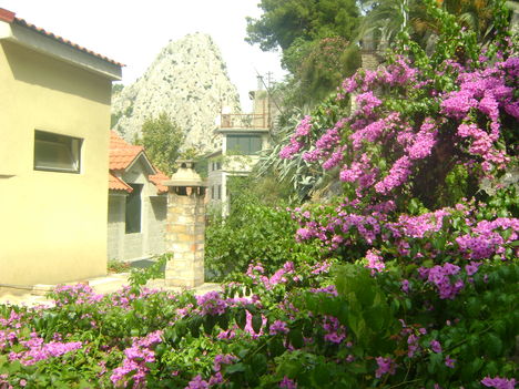 Omis2014 084