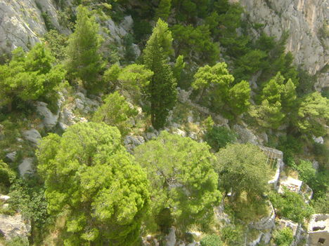 Omis2014 090