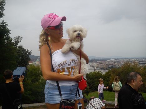 Citadella 2014.08.23. 6