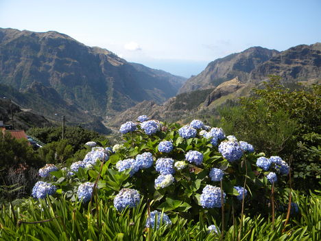 Madeira 2014.aug.16-23. 690