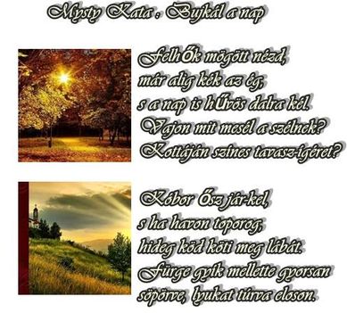 bujkál a nap0_334606363473807867_n