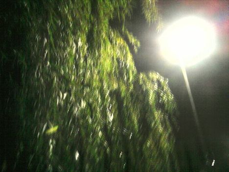 Olgi-foto_7451193803074228095_n