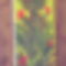 DSCF2653