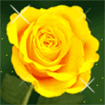 egy szál sárga rózsa